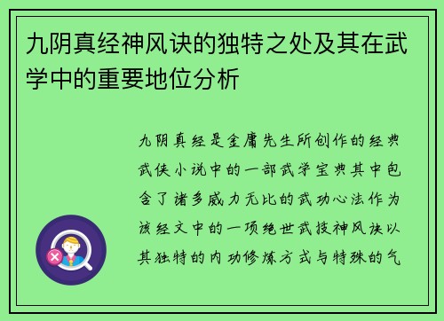 九阴真经神风诀的独特之处及其在武学中的重要地位分析
